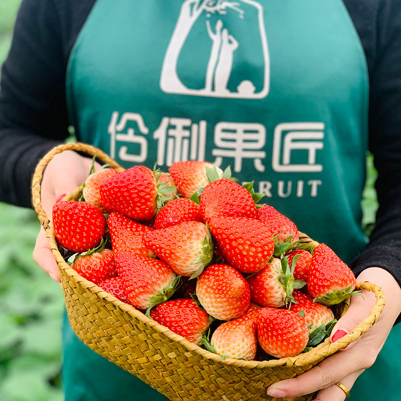 生鲜商家狂喜！新型保鲜物流箱，让草莓保鲜期延长5天