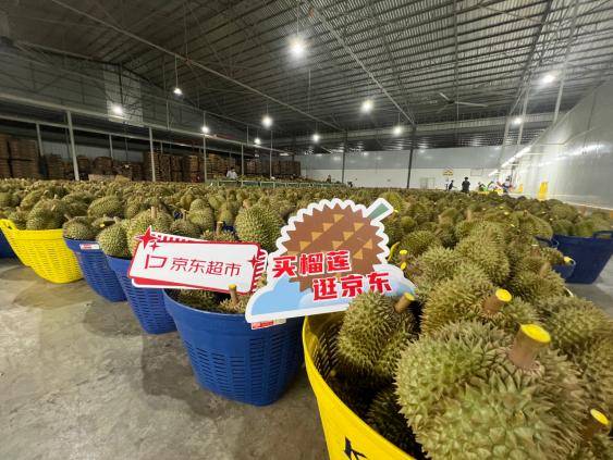 寄水果的物流技巧：预冷、包装、选时效，一个不能少