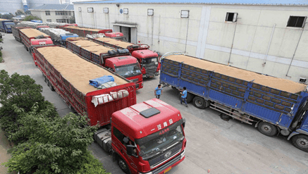 物流仓储作业效率:3个方法提升分拣速度 物流仓储作业效率:3个方法提升分拣速度